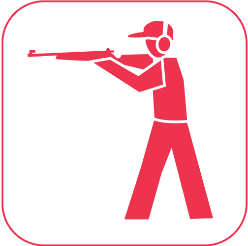 Dart
