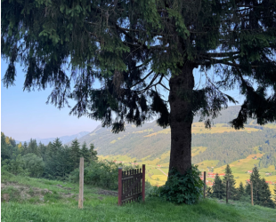 Gesamte Hütte (bis 20 Personen)